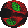 AZDye 660 Acid