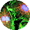 AZDye 660 Acid